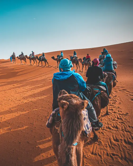 A line of travellers on camels crossing orange dunes under a blue sky