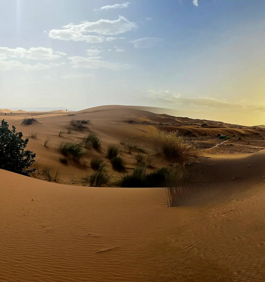 The sun setting over the Sahara dunes