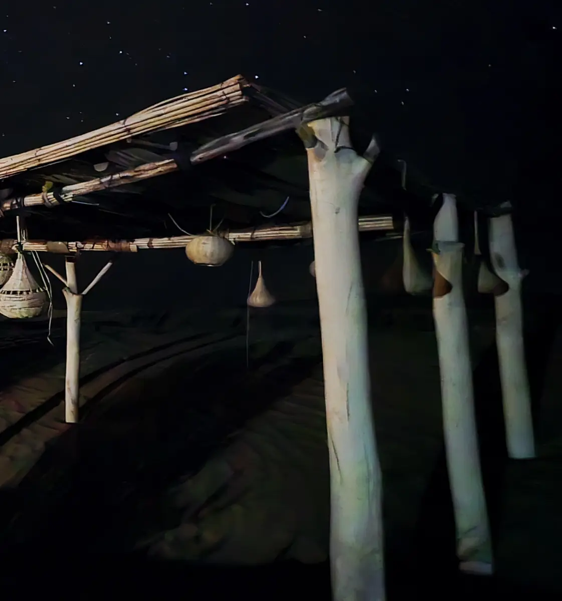 A desert camp shelter in the Sahara under the night sky
