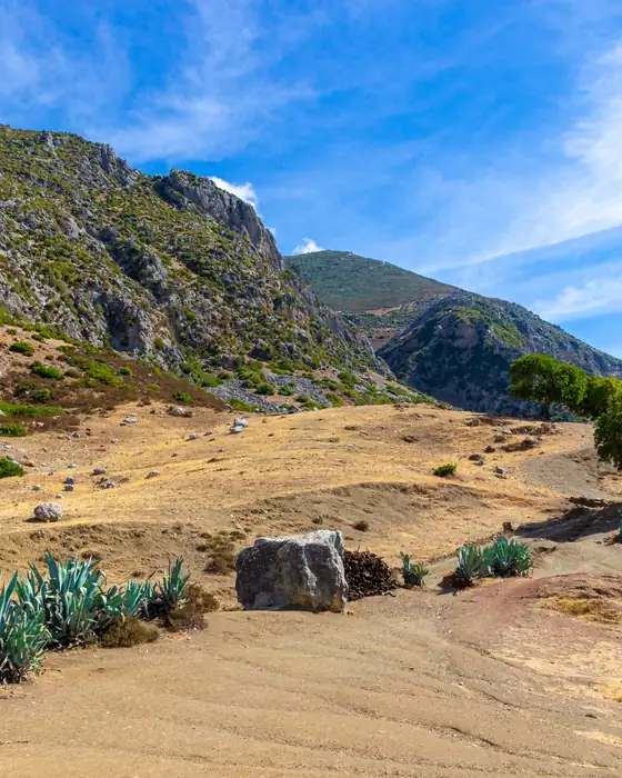 Rocky slopes, agave plants and a lone tree along a sunny trail in the Rif Mountains