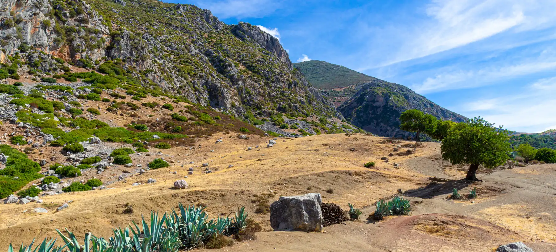 Rocky slopes, agave plants and a lone tree along a sunny trail in the Rif Mountains