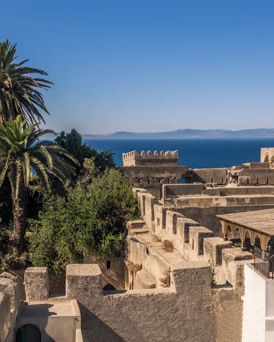 Palm trees and old walls in the Tangier medina above the sea, with mountains on the far shore